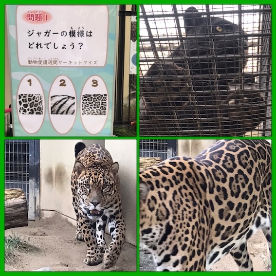 動物園2019