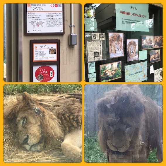 2019動物園