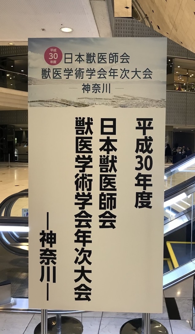 201902学会1