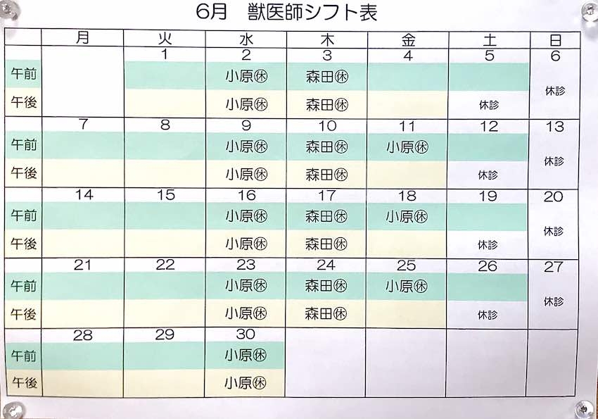 獣医師シフト202106