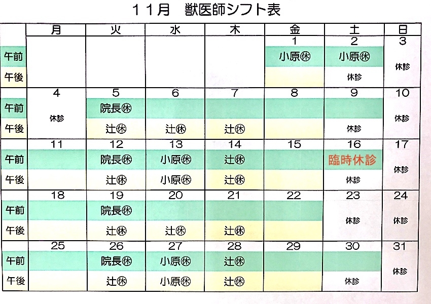 2019年11月シフト新