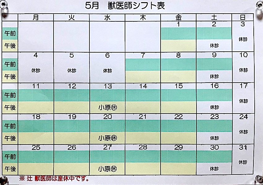 2020.5月シフト