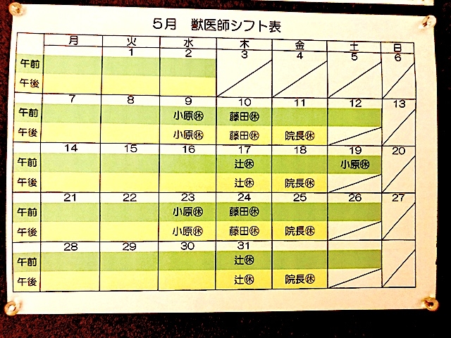 2018.5月のシフト