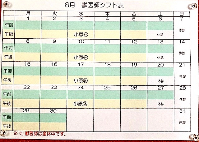 2020.6月シフト