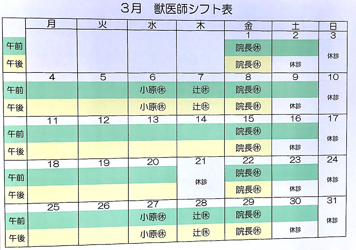 2019.3月シフト