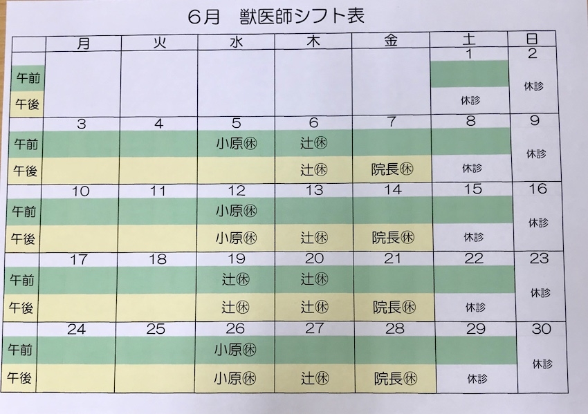 2019.6シフト