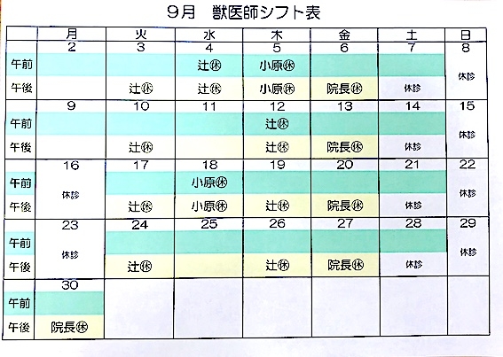 2019.9月シフト