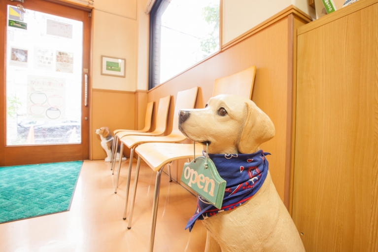 お出迎え犬のクーちゃんがお出迎え