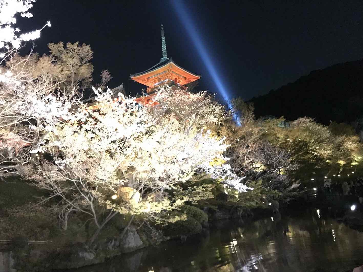 清水寺2019